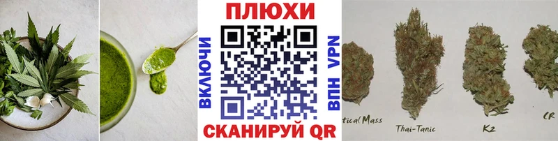 kraken ТОР  Биробиджан  Печенье с ТГК конопля  закладка 